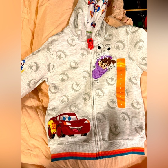 Disney Charter Hoodie - Picture 1 of 9